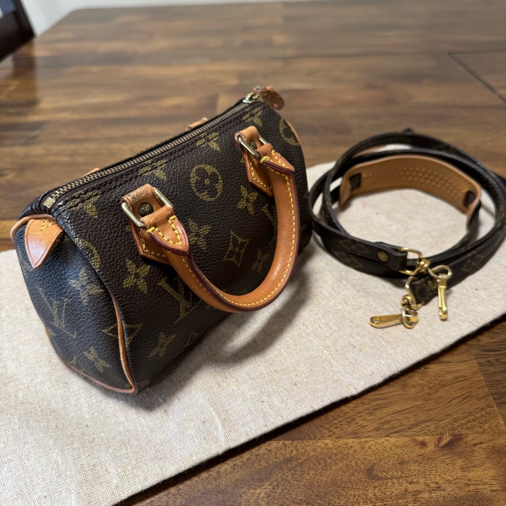 Louis Vuitton Mini Speedy Bag